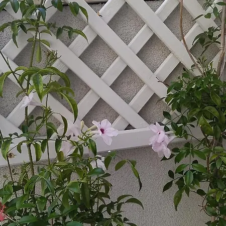 Memories Of Cotton Apartment